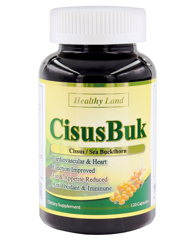 [HL703] Fat Burn Cisusbuk